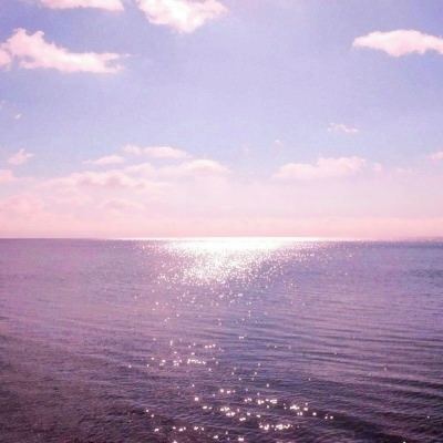 三张牌下载金花免费手机app下载