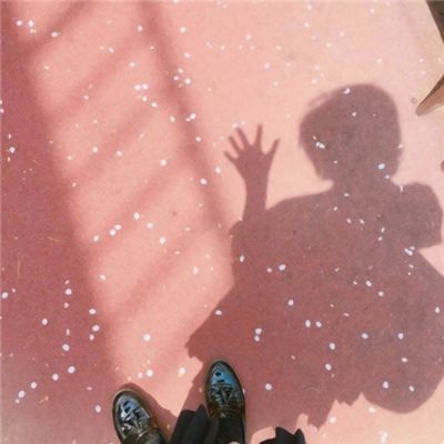 BOB·体育手机APP